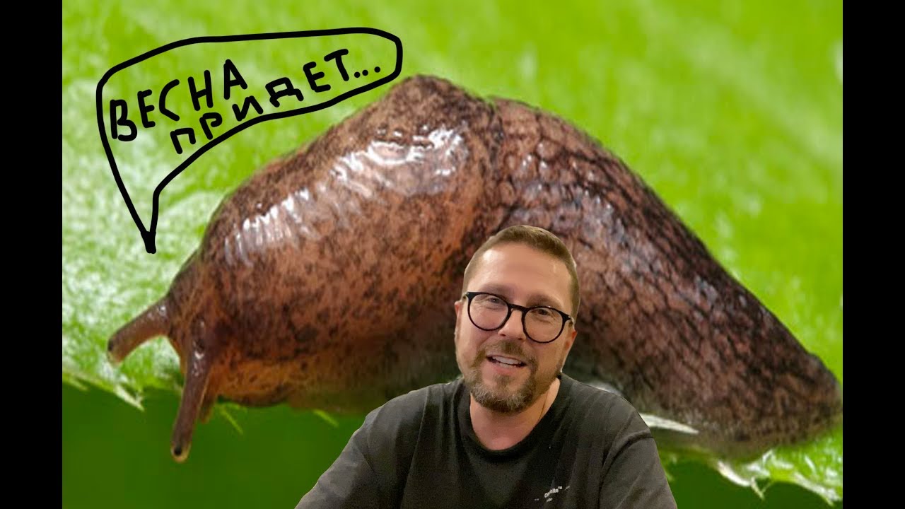 Как ПТУшница слизняков топтала