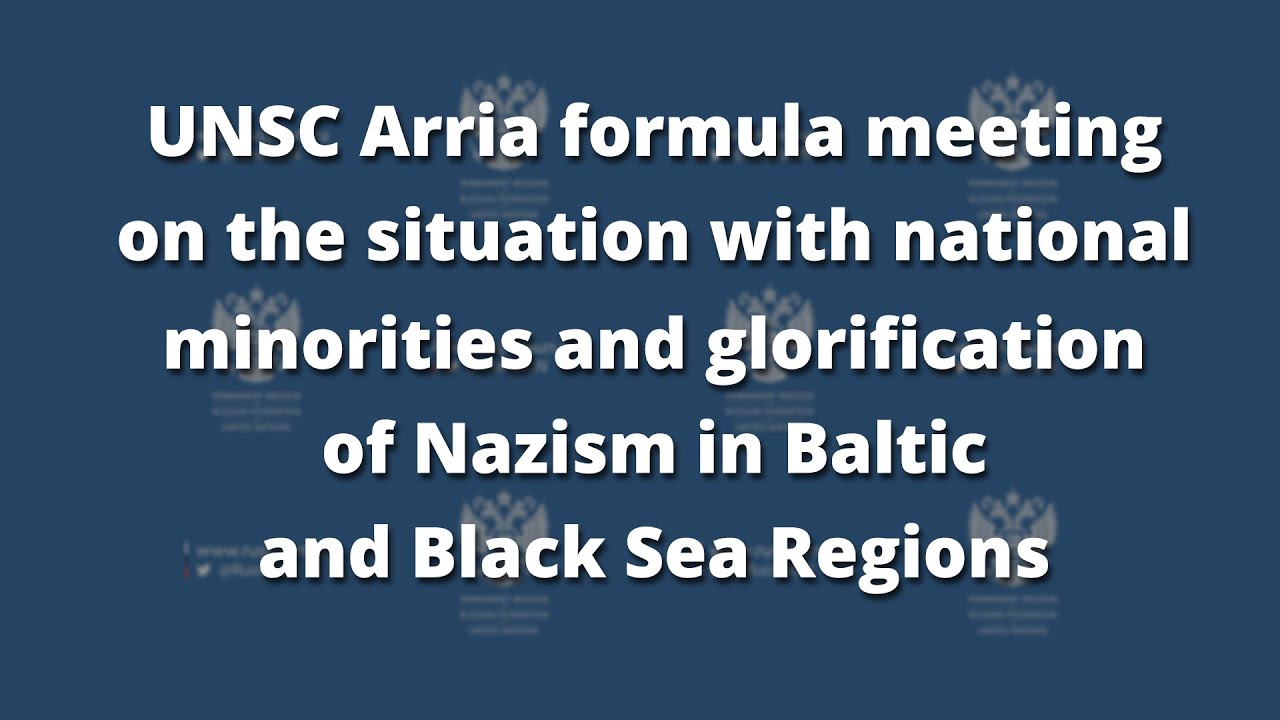 Situation with National Minorities and Glorification of Nazism in Baltic and Black Sea Regions